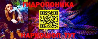 гашик Лесосибирск