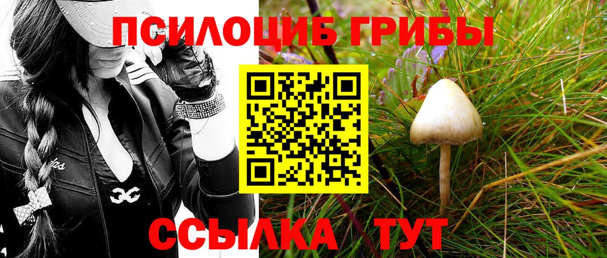 Каменск-Шахтинский  Псилоцибиновые грибы Psilocybe  Псилоцибиновые грибы ЛСД  Вход с VPN 