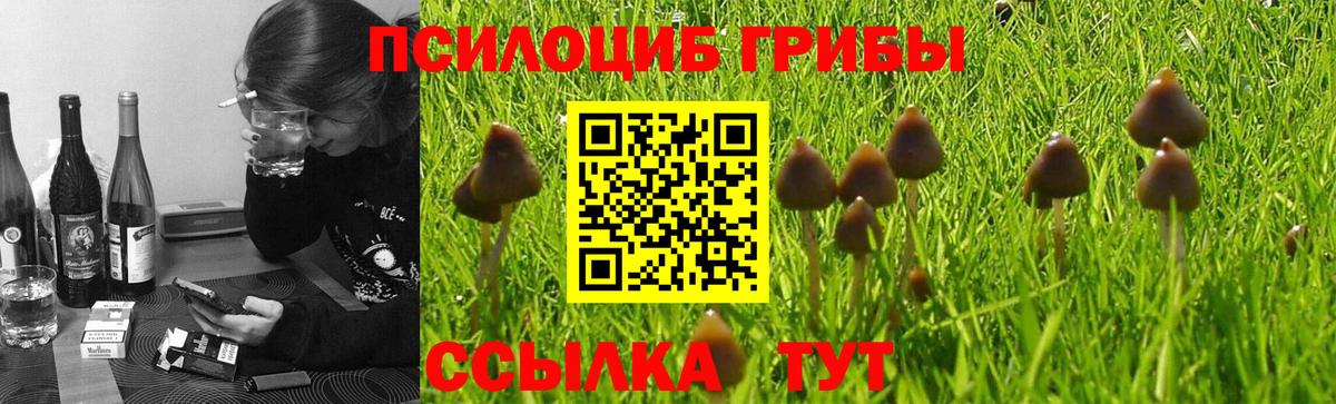 Галлюциногенные грибы ЛСД Каменск-Шахтинский